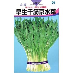 ���̂悢����!�@������؋�����(��ʎ�)�@����:7ml