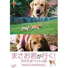 �܂����N���s��!�|�`���܃y�b�g�̗� �܂����N �p�p�ɂȂ�̊� [DVD]