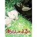 ���炵�̂��� �X�y�V�����E�G�f�B�V���� [DVD]