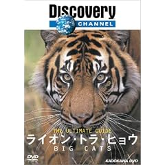 �f�B�X�J�o���[�`�����l�� The Ultimate Guide ���C�I���E�g���E�q���E [DVD]
