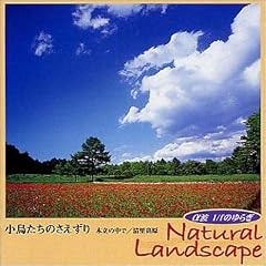 ���g 1/f�̂�炬 Natural Landscape ~���������̂�������~�ؗ��̒���/��������