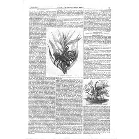 �؂̍����i�̈���� 1857 �̏�̃��V�K�j