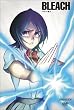 BLEACH �o�E���g�� 4 [DVD]