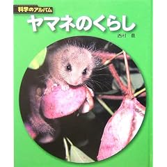 ���}�l�̂��炵 (�Ȋw�̃A���o��)
