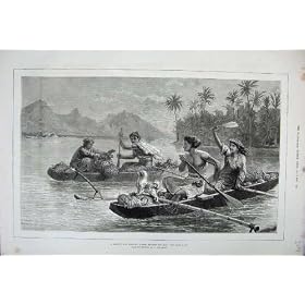 1880 �̋����̎s��̃^�q�`�̃\�V�G�e�����R