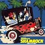 SHAMROCK (��������)(DVD�t)