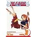 Bleach, Vol. 3 (Bleach (Graphic Novels))