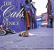 The Cats of Venice