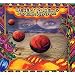 Desert Roses & Arabian Rhythms