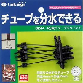 �^�J�M 4����`���[�u�W���C���g G244