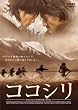 �R�R�V�� [DVD]