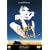 �x�e�B��u���[ �C���e�O���� ���j���[�A�����S�� [DVD]