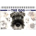 ���THE DOG [2012�N �J�����_�[]