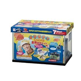 �����ȃN����������Z�b�g45cm