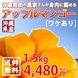 ����암�̔_�Ƃ��񂪐g���ɑE�߂�A�b�v���}���S�[�i�󂠂�j 1.5kg