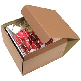 �v���Y�����[�Y�@�i�v���U�[�u�h�t�����[�j