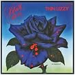 Black Rose a Rock Legend