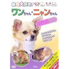������D��!���������E�j���������X�y�V����100 [DVD]
