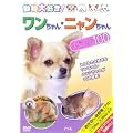 ������D��!���������E�j���������X�y�V����100 [DVD]