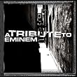 Tribute to Eminem