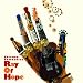 Ray Of Hope�@�i�A�i���OLP�Q���g�j [Analog]