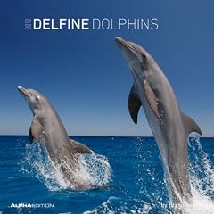 Delfine - Dolphins 2012 Broschuerenkalender