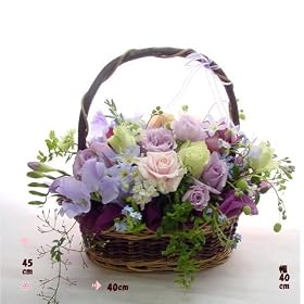 ����������*�V�b�N�Ȏ��o���o�X�P�b�g�t�����[�A�����W�����g�y���͂����w�艺���������͉z�a�����L�O�����������t�����[�o�X�P�b�g�A�����W�����g