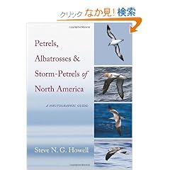 Petrels, Albatrosses, and Storm-Petrels of North America: A Photographic Guide