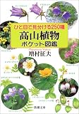 �ЂƖڂŌ�������250�� ���R�A���|�P�b�g�}�� (�V������)
