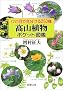 �ЂƖڂŌ�������250�� ���R�A���|�P�b�g�}�� (�V������)