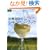 �c��^��̃V�����p���E�u�b�N (�n���̕�����GEM STONE)