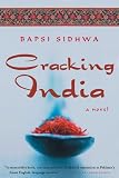 [Book] Cracking India