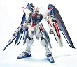 MG 1/100 ZGMF-X10A �t���[�_���K���_�� (�@����m�K���_��SEED)