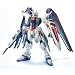 MG 1/100 ZGMF-X10A �t���[�_���K���_�� (�@����m�K���_��SEED)