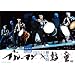 �u���[�}���~�ۓ� BLUEMAN MEETS �a���� [DVD]