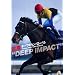 �^�[�t�̃q�[���[15 ~DEEP IMPACT~ [DVD]