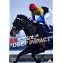 �^�[�t�̃q�[���[15 ~DEEP IMPACT~ [DVD]