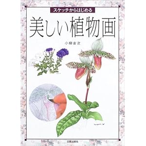 �X�P�b�`����͂��߂�������A����