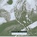 Secrets of the Beehive