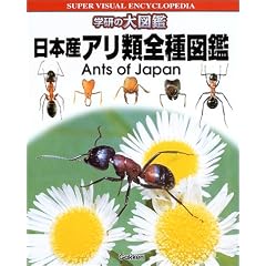 ���{�Y�A���ޑS��}�� (�w���̑�}��)