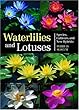 Waterlilies And Lotuses: Species, Cultivars, And New Hybrids