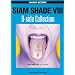 �o���h�X�R�A SIAM SHADE VIII  B�[side Collection (�o���h�E�X�R�A)