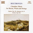 Chamber Music for Horns Winds & Strings