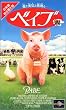 �x�C�u�y���{�ꐁ�֔Łz [VHS]