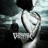 �t�B�[���@�[(���񐶎Y�����)(DVD�t)