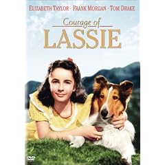 �������b�V�[ / ���b�V�[�̗E�C [DVD]