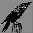 BEAUTIFUL