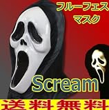 �X�N���[�������}�X�N�@�a�i�`���[�~�������́j