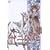 �\�񍑋L ���̉e �e�̊C �܊� [DVD]