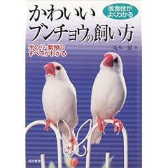 ��H�Z���悭�킩�� �₳�����u���`���E�̎�����